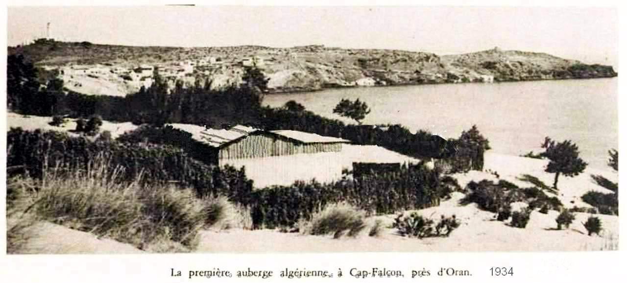CO i- 085- Cap Falcon.jpg